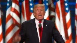 All I Wanna Do (Donald Trump Version) All I Wanna Do (Donald Trump Version)