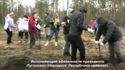 The action Garden of Memory is held in the Lugansk Peoples Republic