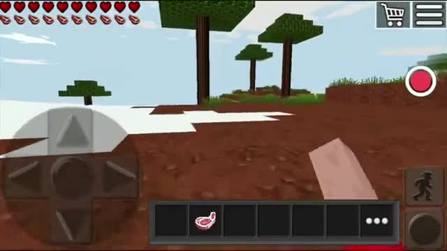 Playing Minecraft ripoffs