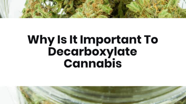 Why_Is_It_Important_To_Decarboxylate_Cannnabis