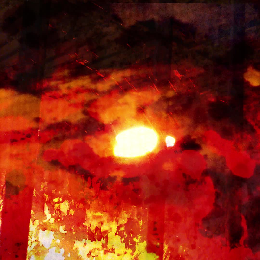 Light in the Darkness of the Cell Light in the Darkness of the Cell