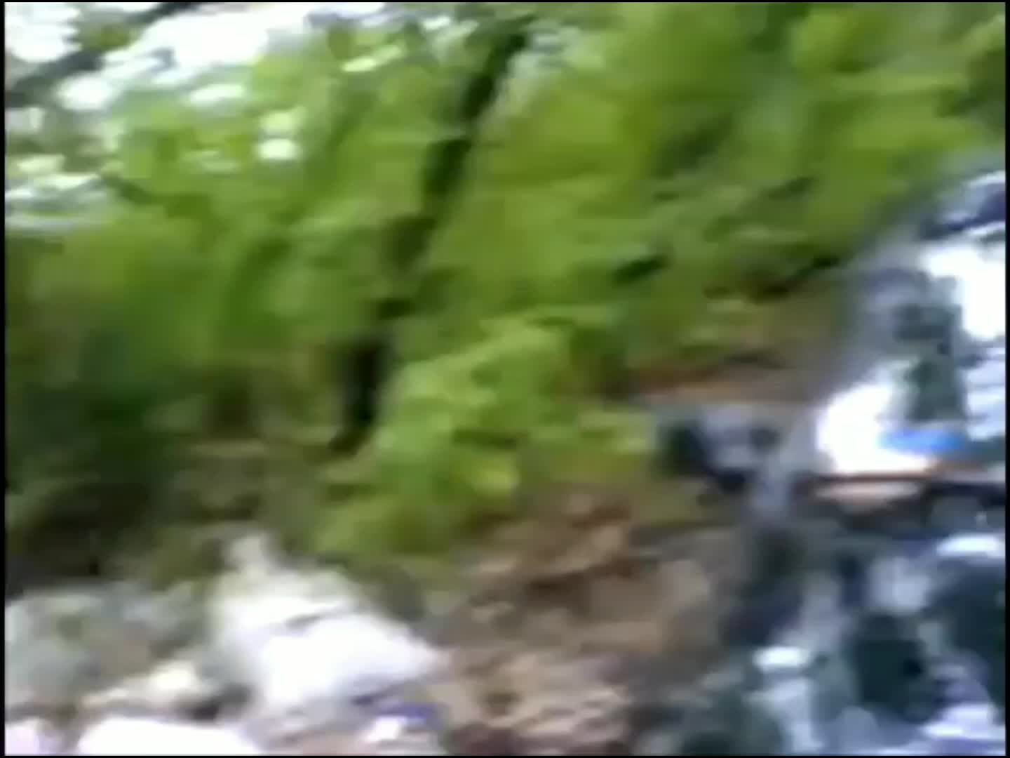 Про котёнка - 3 Guys 1 Hammer Edit