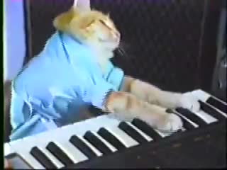 Charlie Schmidt’s Keyboard Cat!