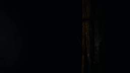 streamladder-smgstksPhasmophobia 2022