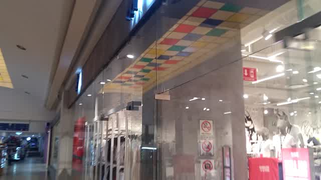 Cuidado con el perro, Gran Plaza Mazatlán, 1 de febrero de 2026