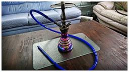 Klein aber WUNDERSCHON - Amy Little Zuri R - Review