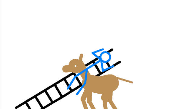 donkey saves man from falling