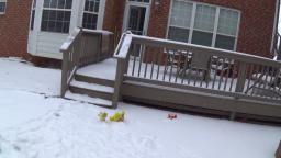 Crazy Mario Bros- Bowser Junior's Snow Day