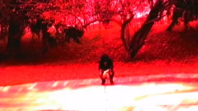 Monotypical - Haunted (music video)