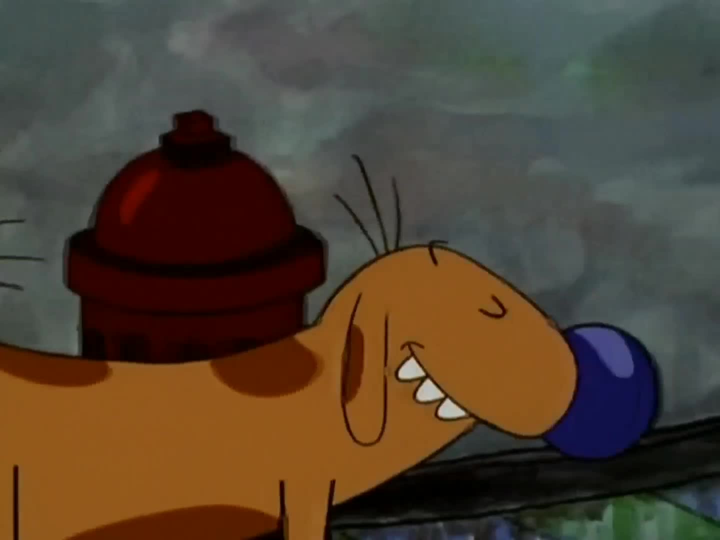 Catdog Perro y Gato Van Al Baño ESPAÑOL ESPAÑA Catdog Perro y Gato Van Al Baño ESPAÑOL ESPAÑA