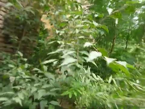 Exploración abandono R. Cano Estación FC San Martin 15_03_25