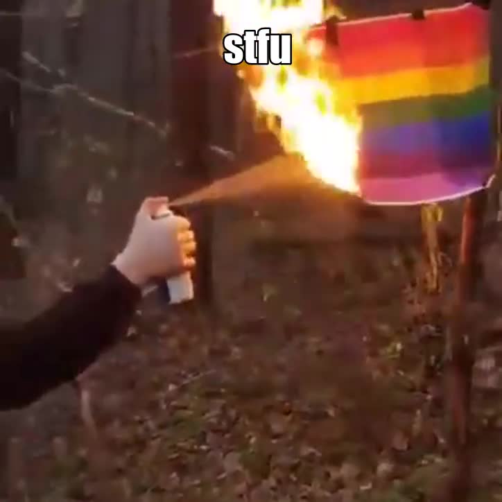 burning the LGBTQ flag