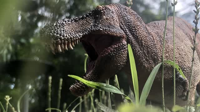 Tales of Sauria Anniversary Special Trailer (Reupload)