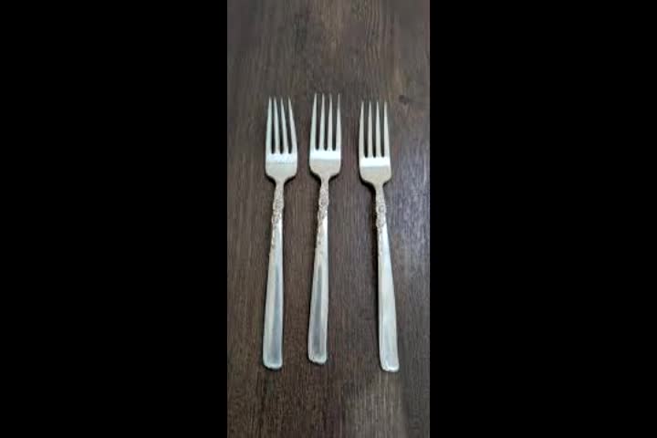 top 10 forks