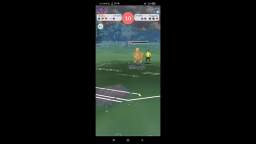 Pokémon GO PVP 8