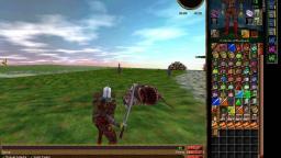 Old MMO gameplay