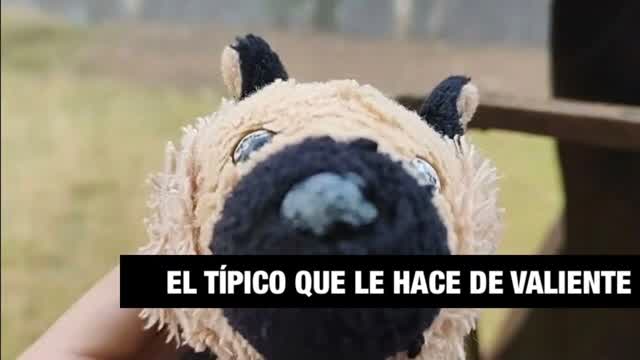El Típico que le Hace de Valiente
