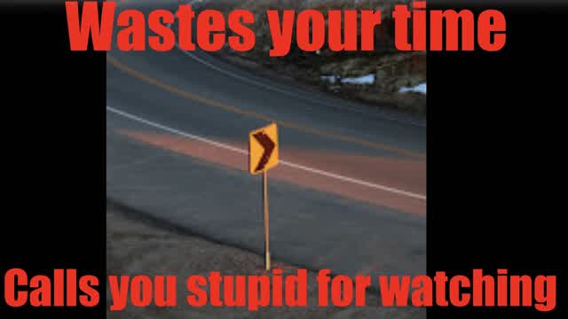 Pretentious “essay” calls you stupid cuz it wasted ur time