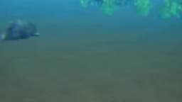 Let's See What The Waters Like