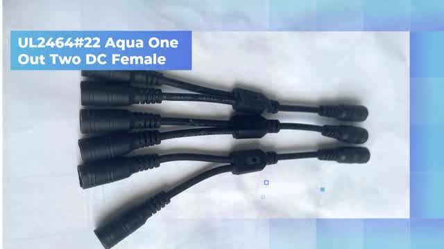 Aquarium one out and two docking connection line