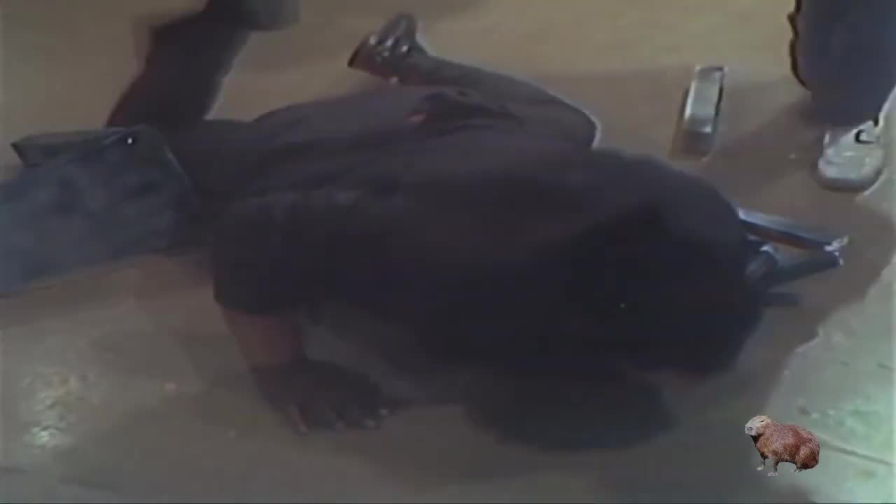 Materialismo inativo [Capivara Macabra]