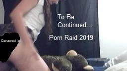Porn Raid 2019 but nobody noticed it was happening