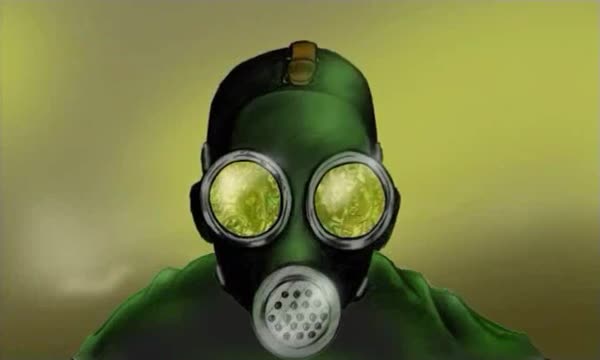 CHELSEA SMILE - 8 Foot Sativa