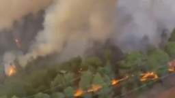 Forest fire on the Spanish island of Tenerife cannot be brought under control, the fire area exceede