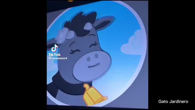 VLPH - PI OIO SOS