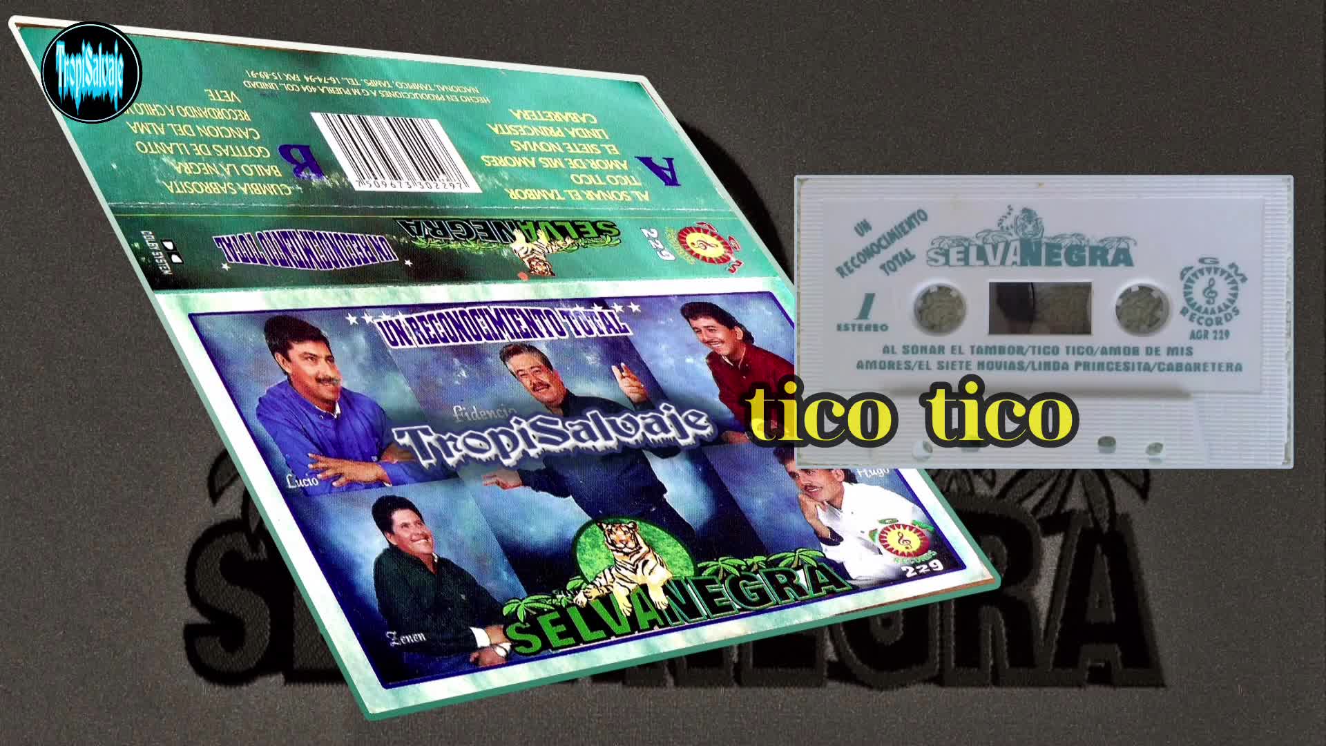 Tico Tico Selva Negra vol.17 Tico Tico Selva Negra vol.17