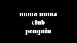 numa numa club penguin