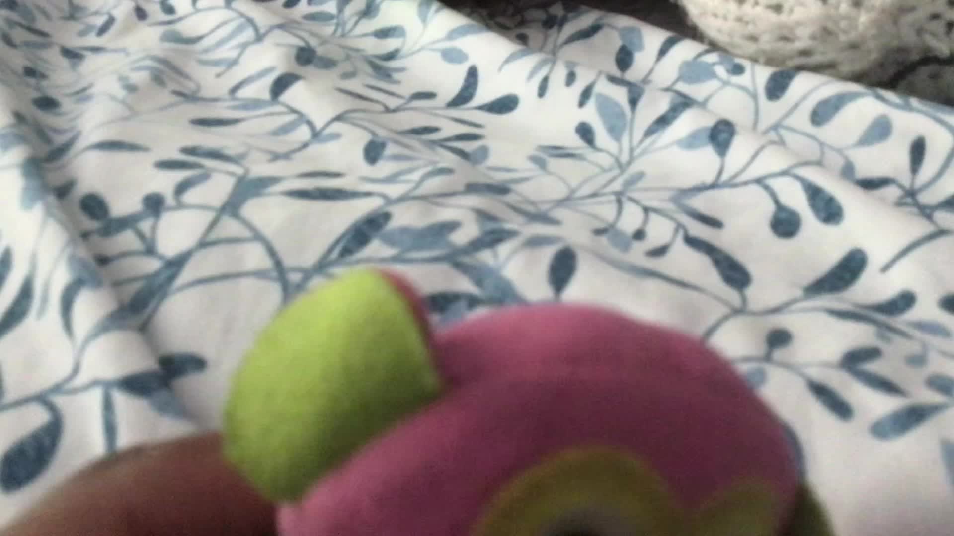 Larry explains the life of a YouTuber