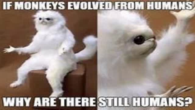 Creation VS. Evolution 6