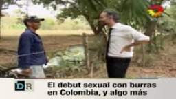Colombianos que se follan burras