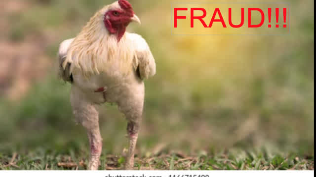 The Great Chicken Hoax