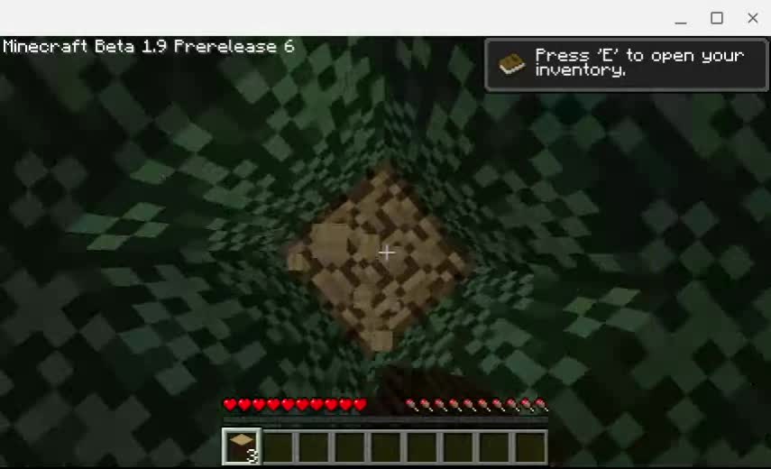 Minecraft EP.1: A nice but buggy start