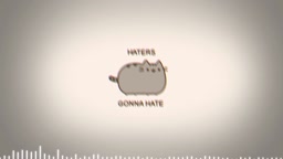 HATERS GONNA HATE