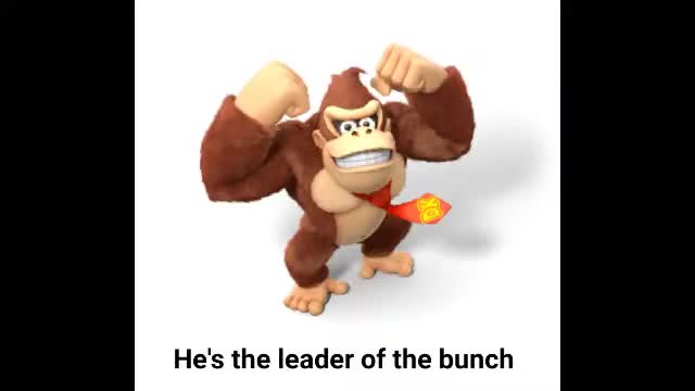 The Donkey Kong Rap but It's Completely Different and Short