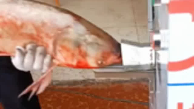 20 seconds to remove fish scales + kill all fish easily