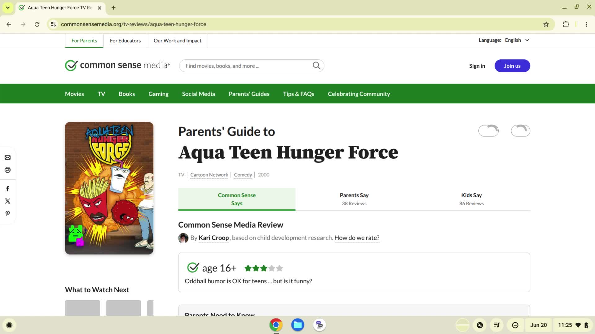 Aqua Teen Hunger Force TV Review