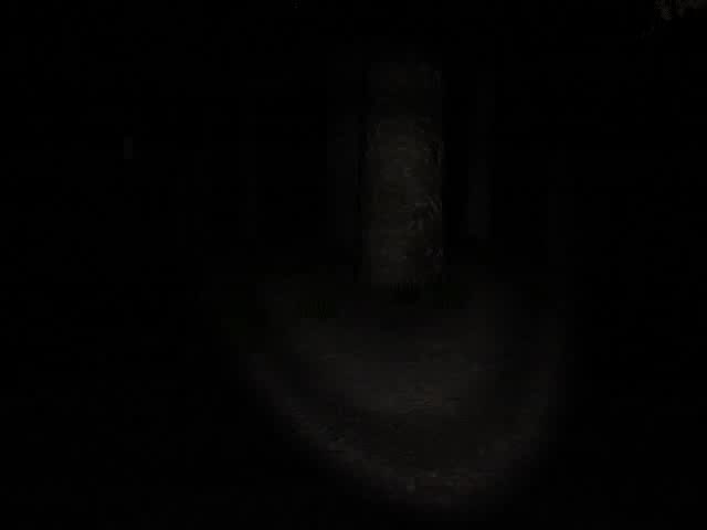 slender#the8pages