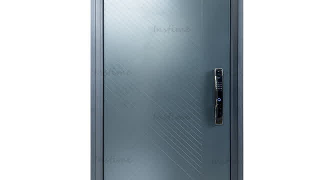 Luxury Design Stainless Steel Entrance Door Modern Entry Black Pivot Door