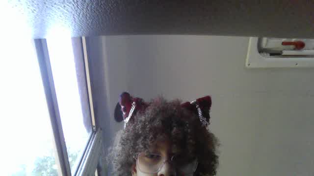 the cat ears................