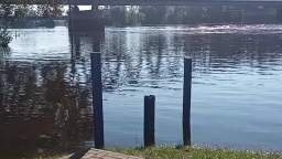 elbehochwasser22092024