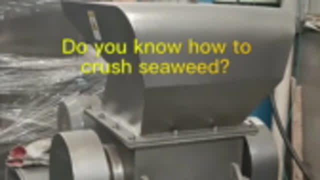 Do you know how to crush seaweed?#seaweed#seaweedgrinder#seaweedmachine