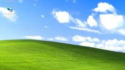 My Windows XP