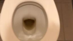 flushing the toilet