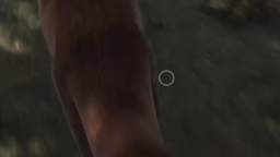 This Isn't Right
