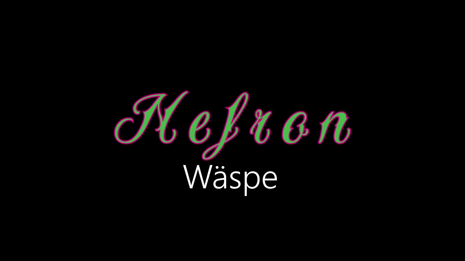 Nefron ¦ Wäspe (officiäł auđió) Nefron ¦ Wäspe (officiäł auđió)