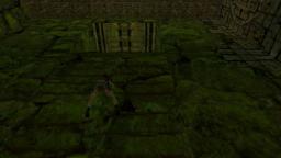 Tomb Raider 3 Nivel 02: Ruinas del templo (Loquendo) P2